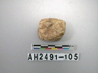 藏品(石英礫石)的圖片